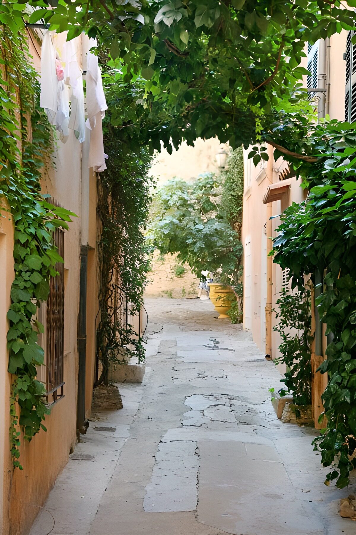 A leafy alley between peach walls