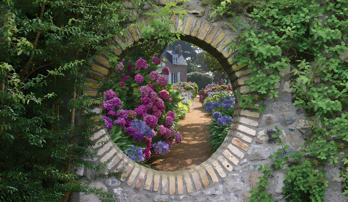 Summer hydrangeas through a round arch