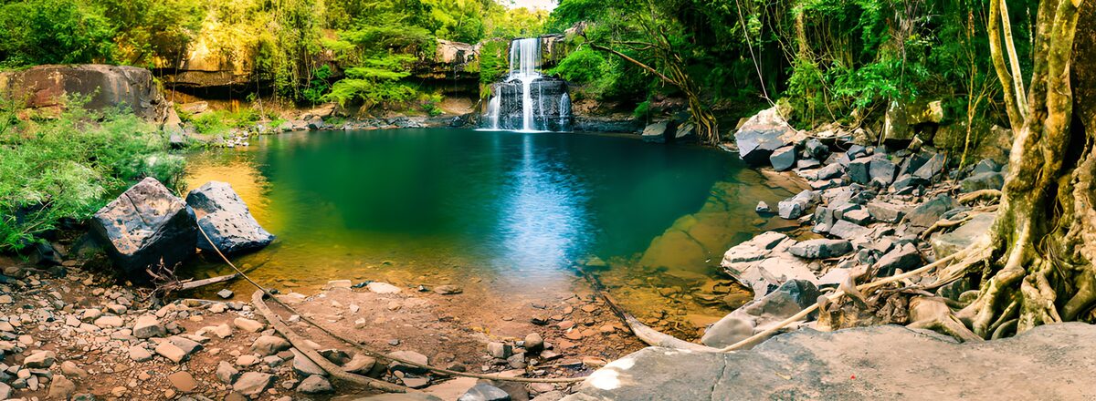 Woodland waterfall above a quiet green pool