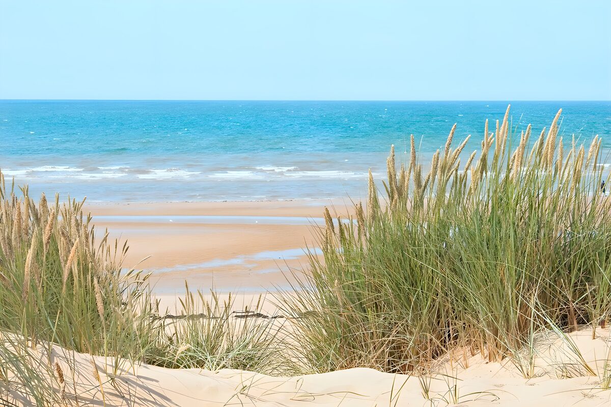 Sunlit dunes and a wide blue sea