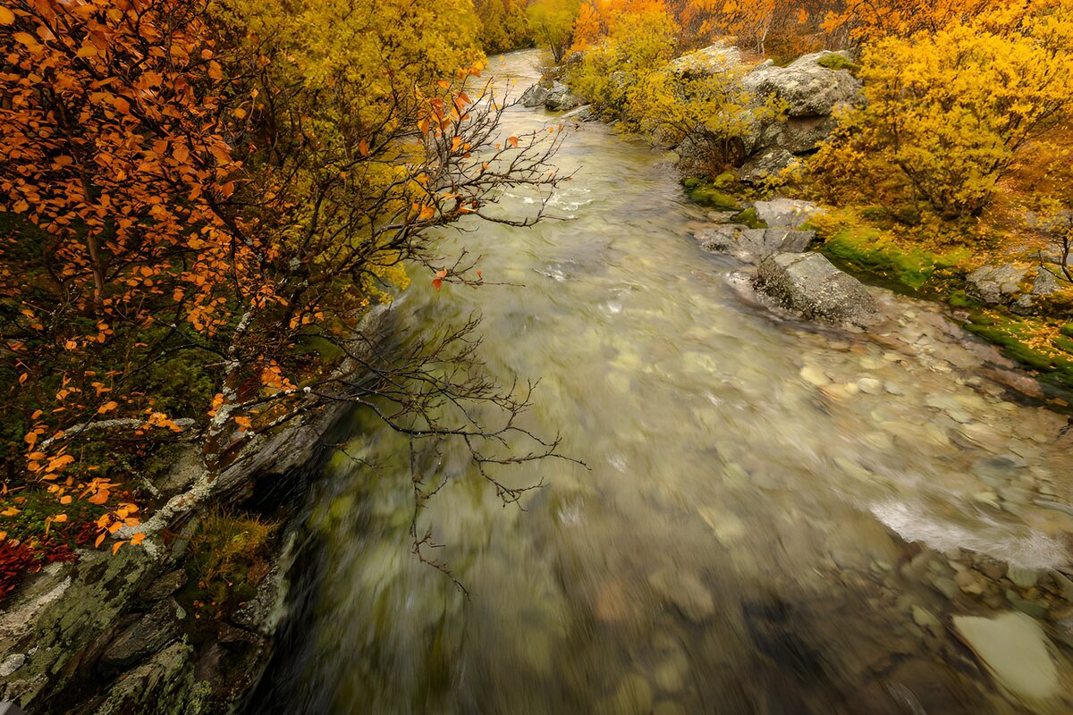 Rocky stream in warm autumn colours