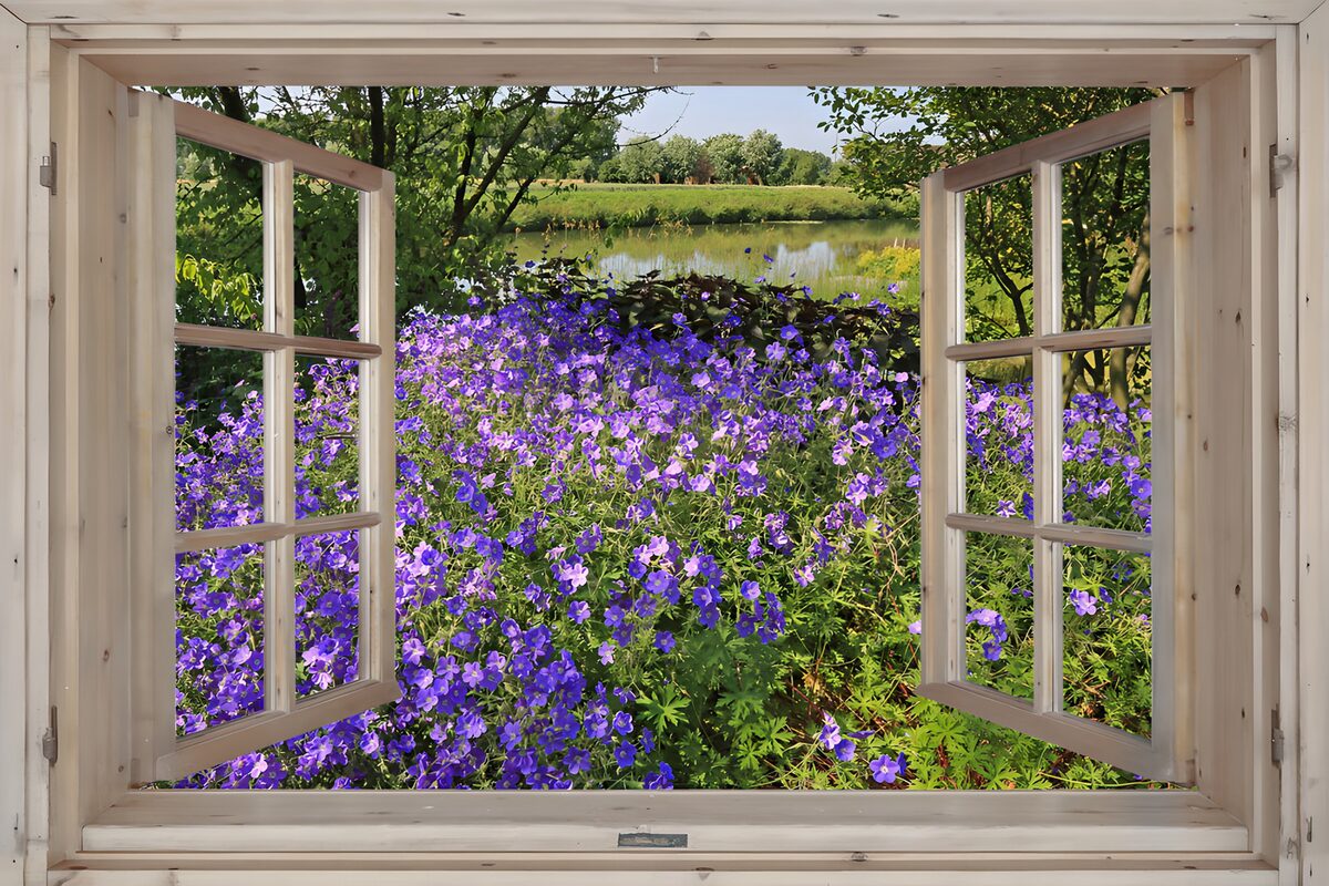 An open window on a sea of purple