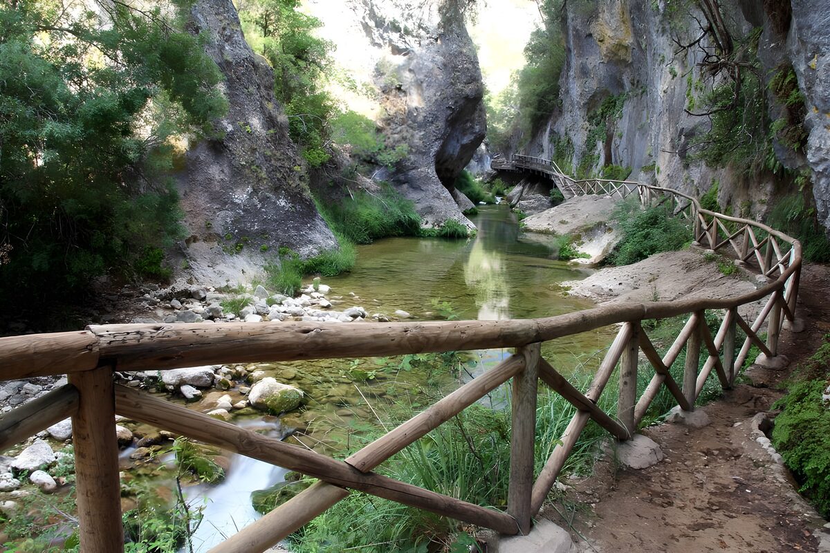 Gorge stream and wooden walkway