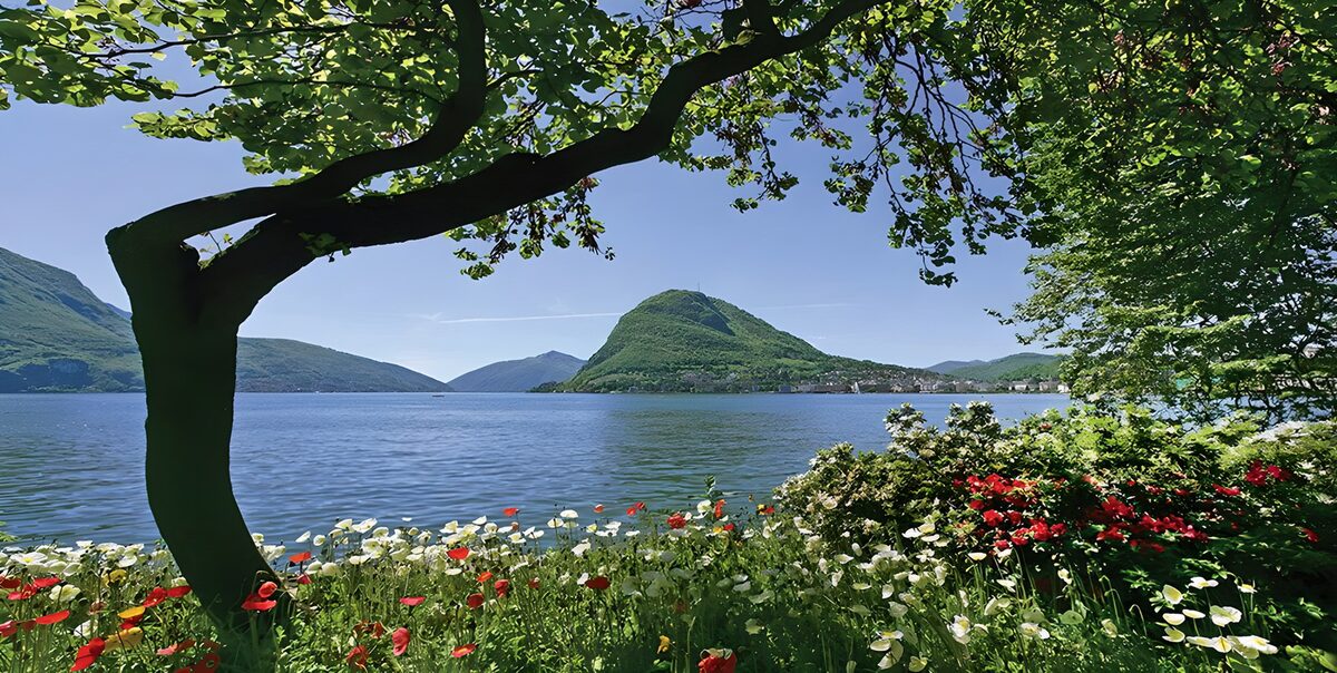 Mountain lake with a flower-filled shore