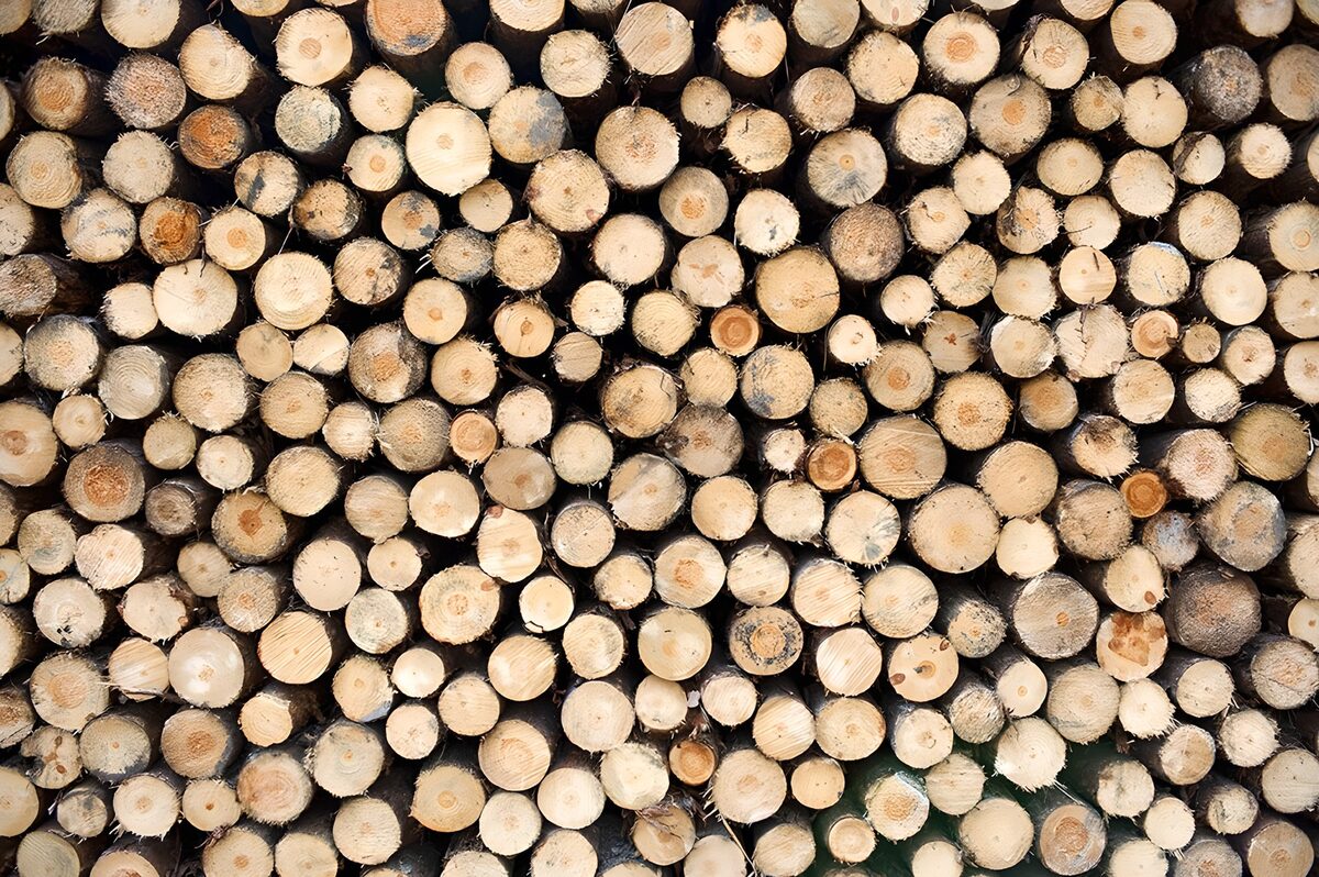 Stacked logs in honeyed tones