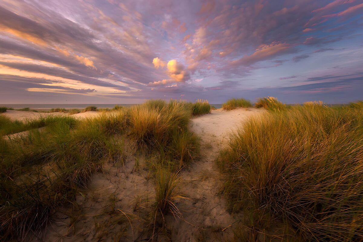Grassy dunes beneath a pastel sunset