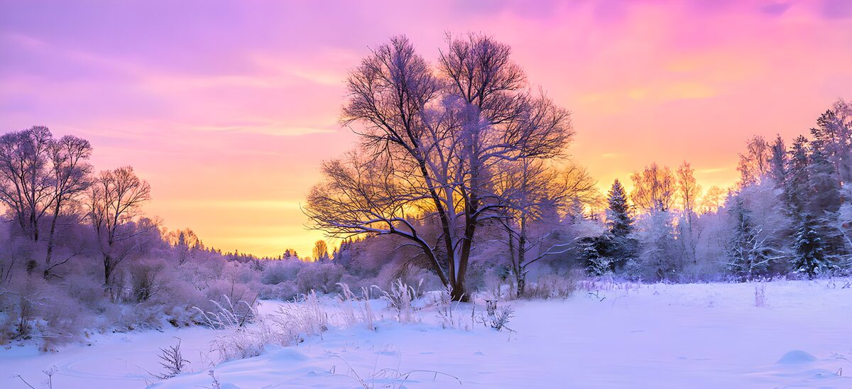 Snowy clearing beneath a pastel sky