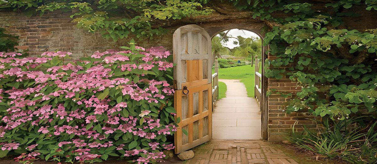 Open wooden door amid pink flowers