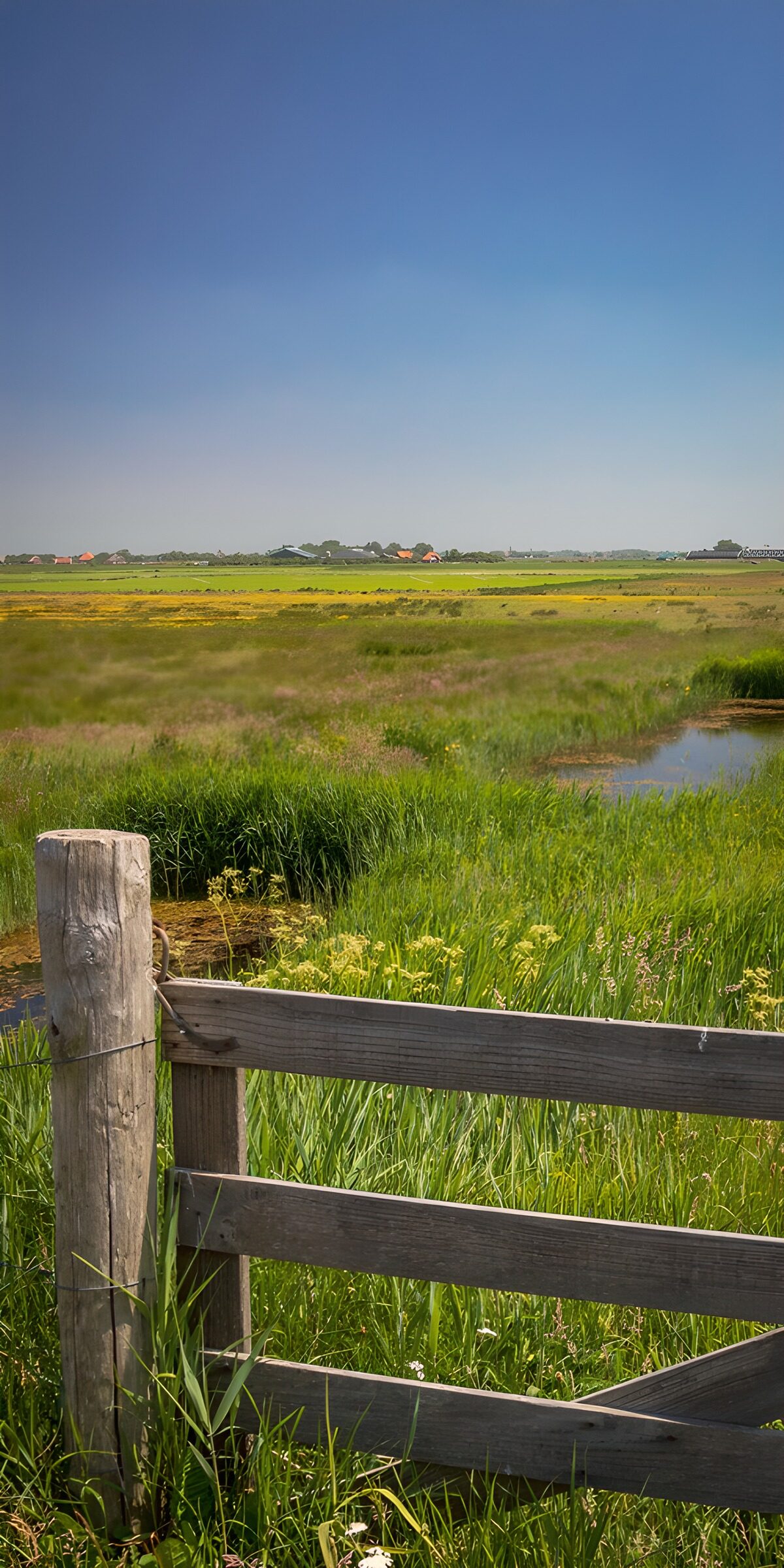 Wooden gate beside a sunlit meadow ditch