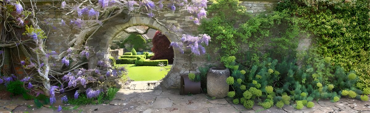 Wisteria by a sunlit round gateway