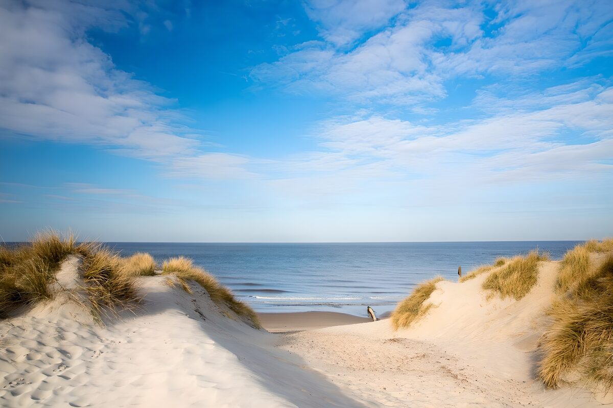 A quiet sandy path through coastal dunes