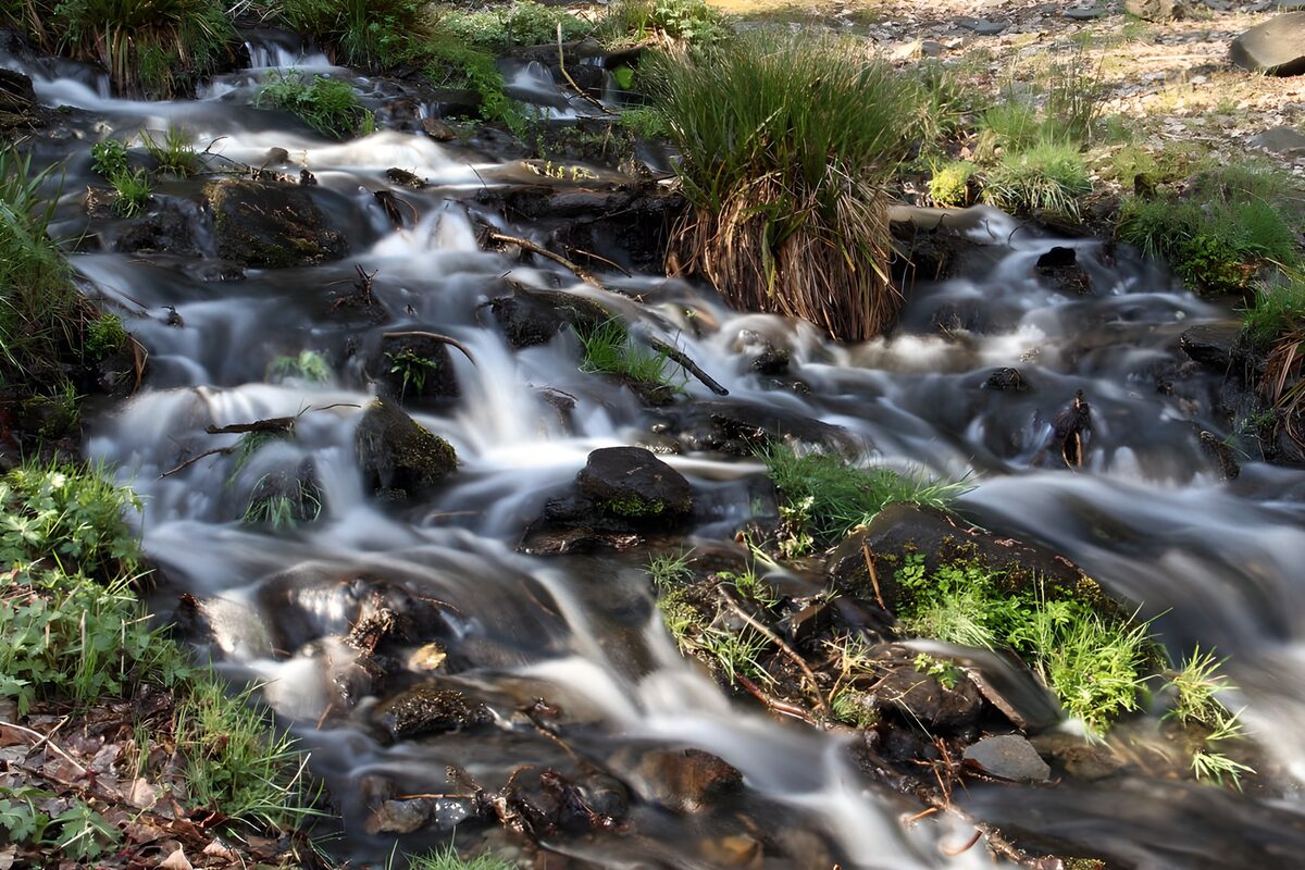Small cascades over dark stream rocks
