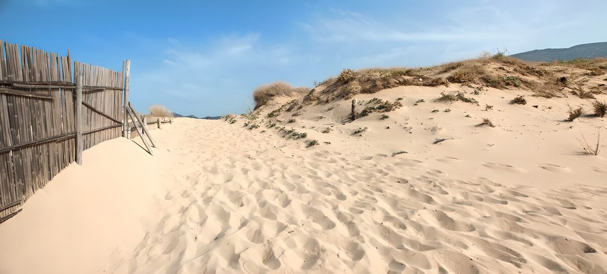 Sunlit dune path by a wooden fence