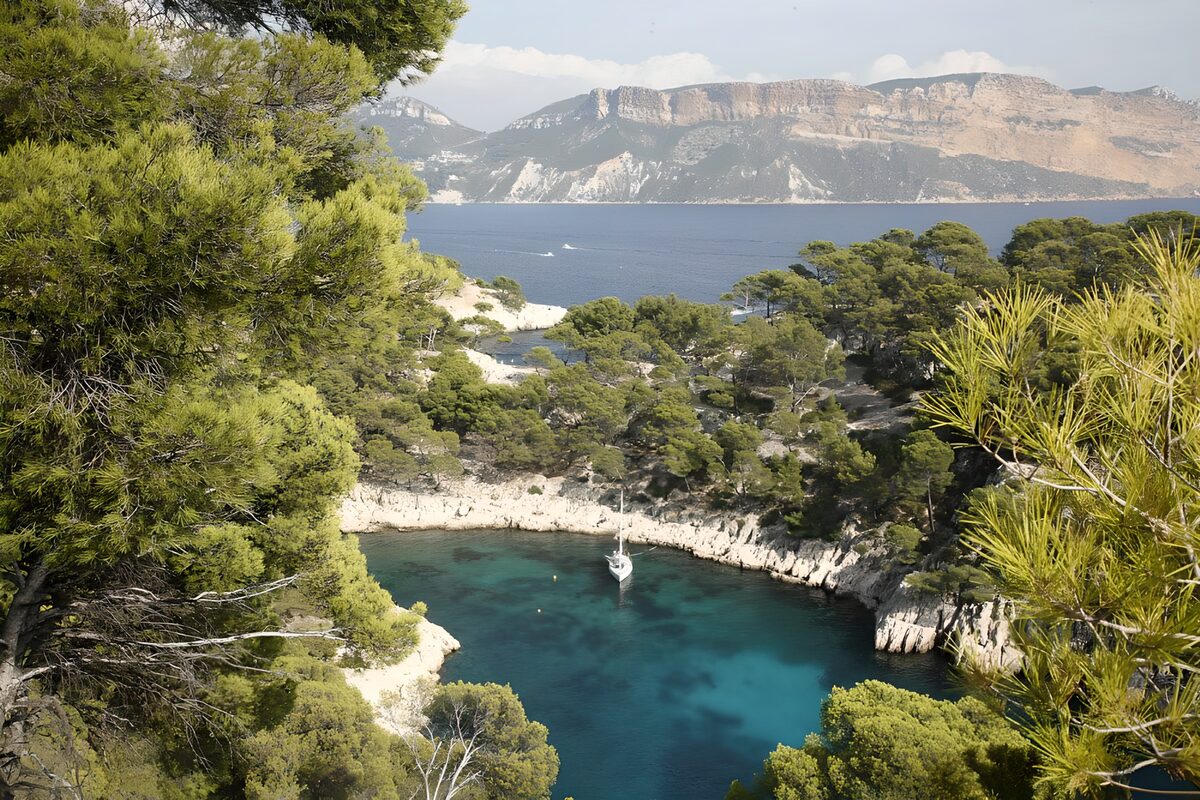 Sailboat in a sunlit, pine-fringed cove