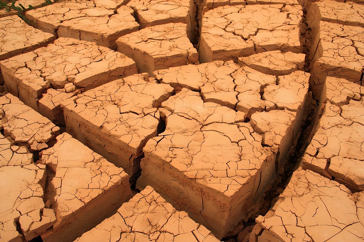 Sunlit slabs of cracked ochre earth