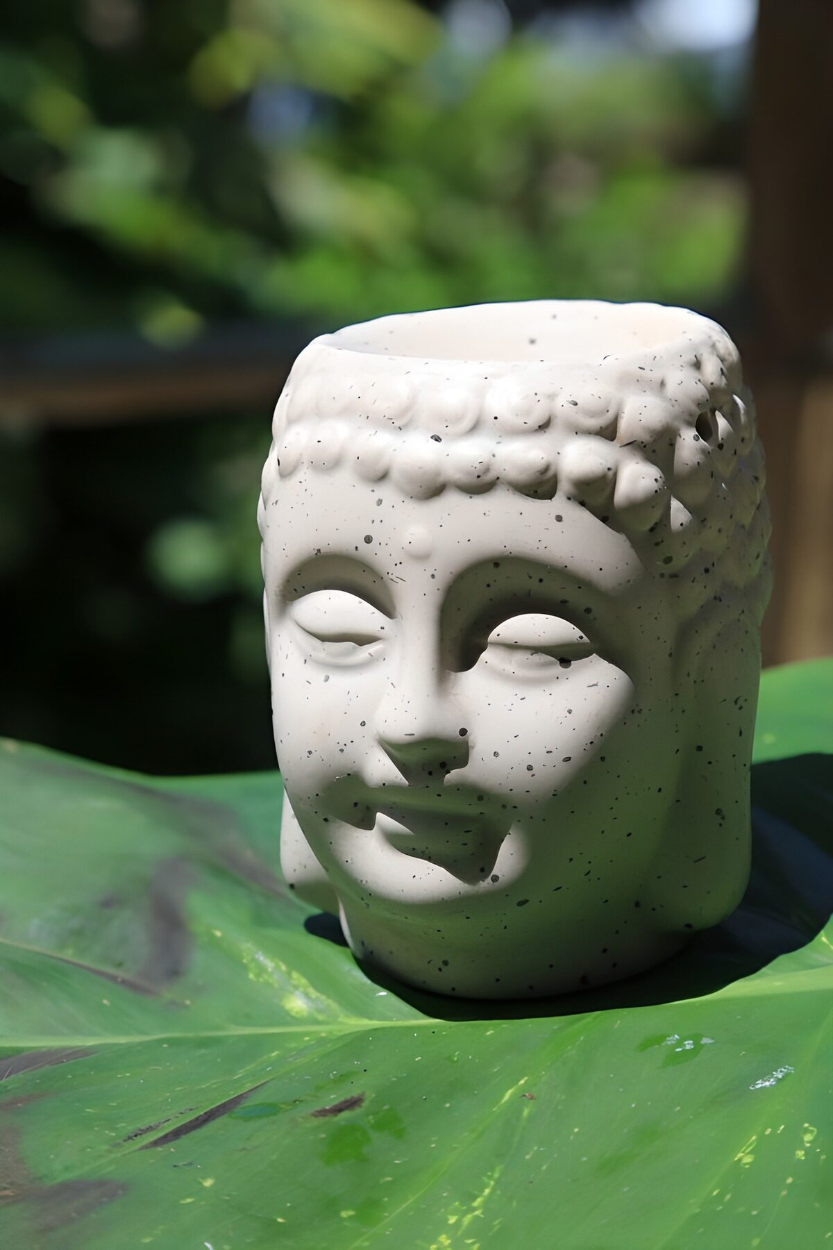 White Buddha head on a leaf, at rest