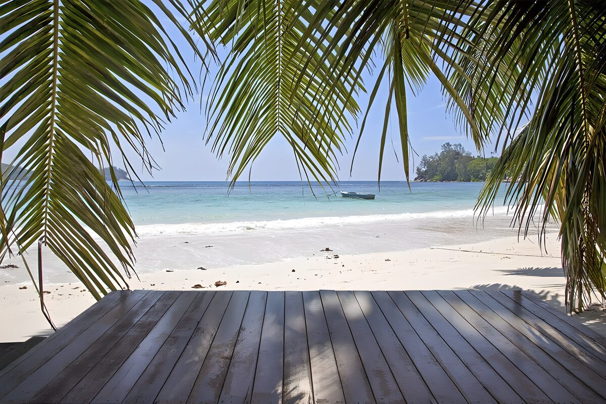 Palm-shaded deck by a turquoise sea