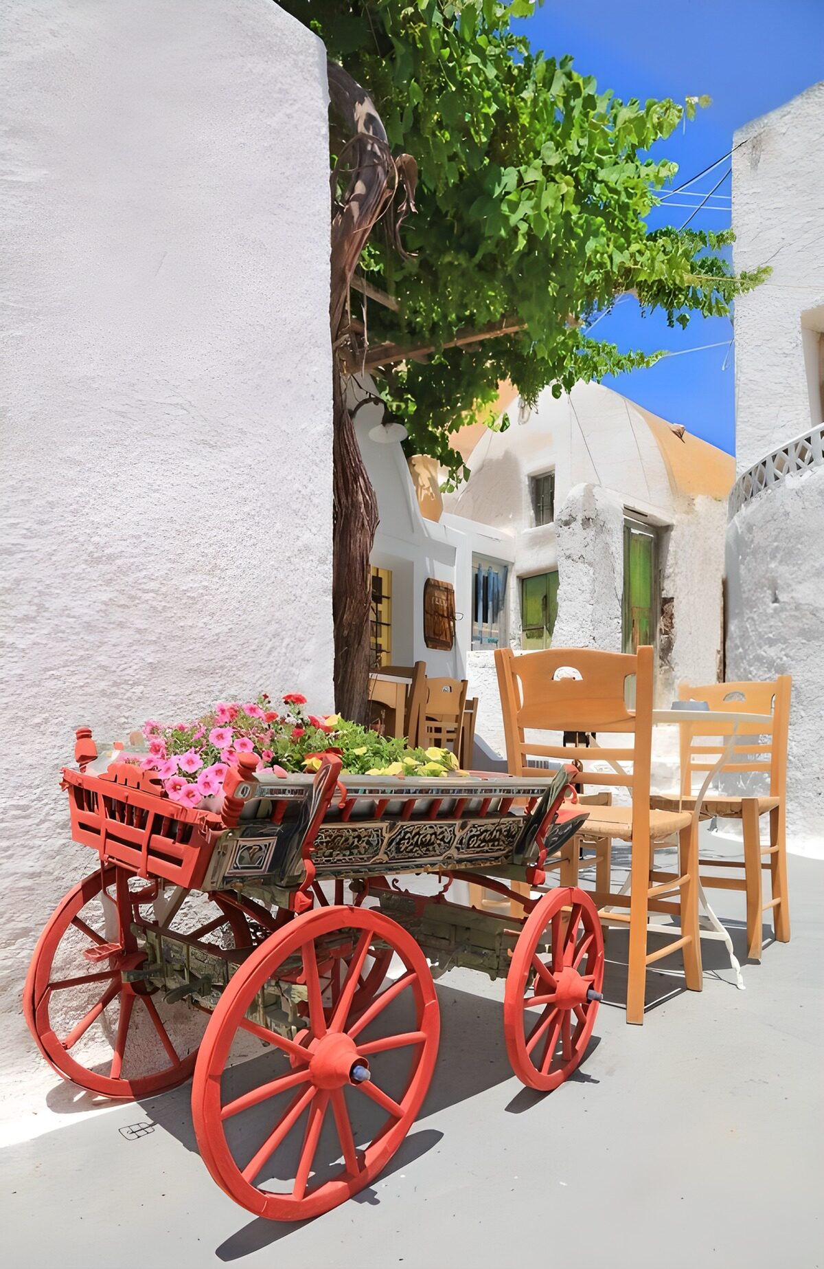 Flower cart in a sunlit whitewashed lane