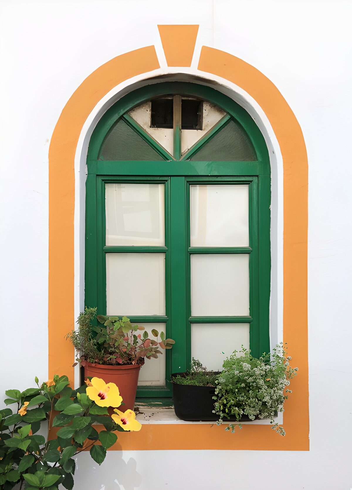 Green arched window with sunlit hibiscus