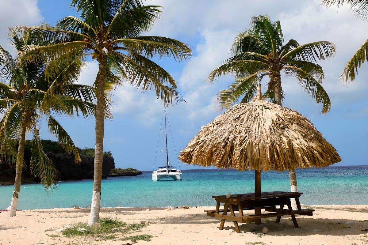 Palm-shaded beach with a catamaran