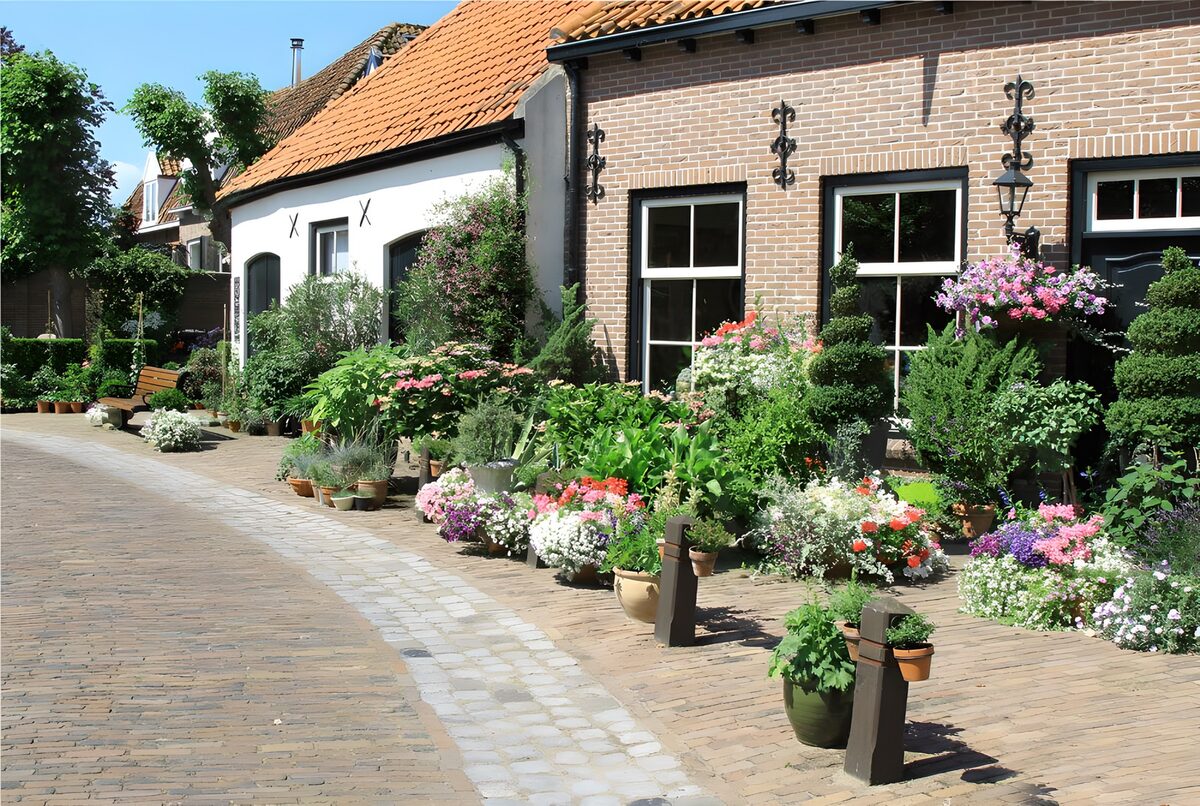 Sunlit street lined with flower pots