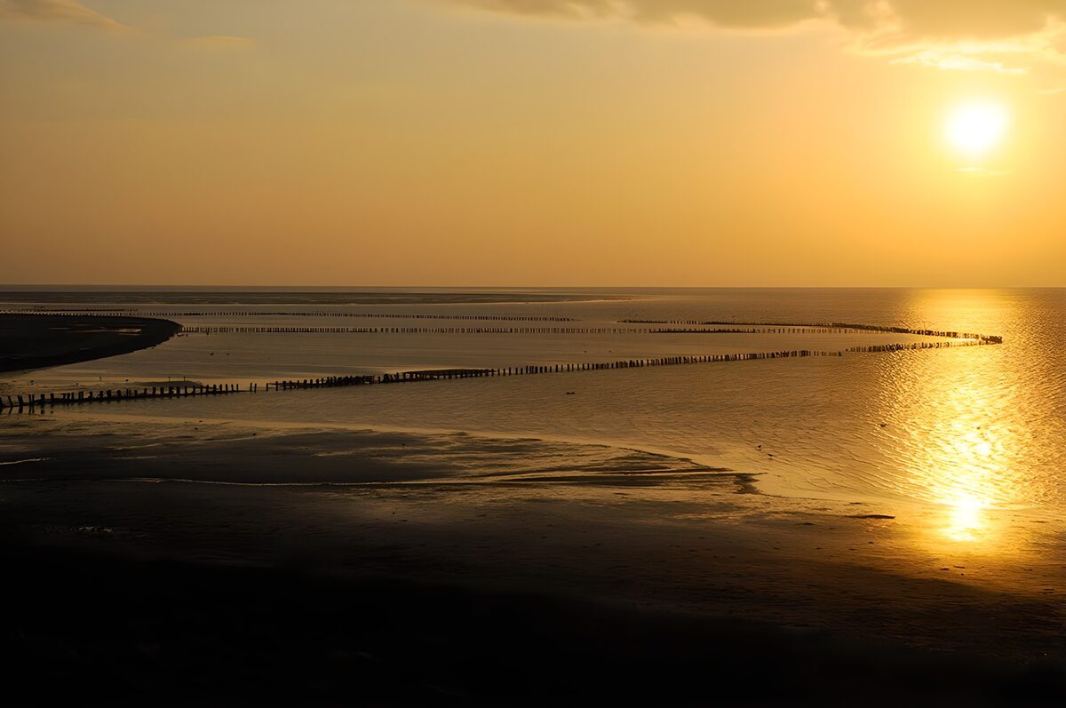 Golden sunset over tidal sands and groynes