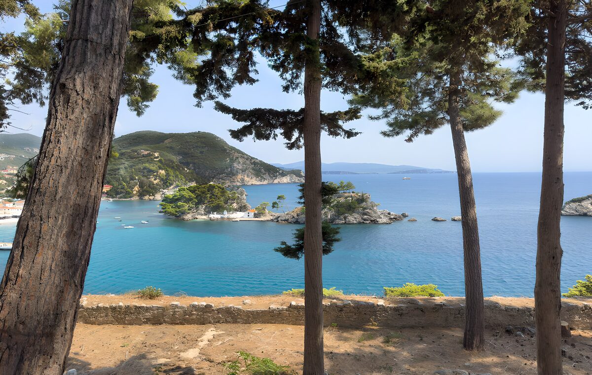 Turquoise bay beneath the pines