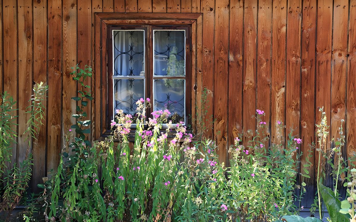 Rustic window framed by garden flowers