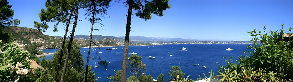 Boats on a sunlit bay framed by pines
