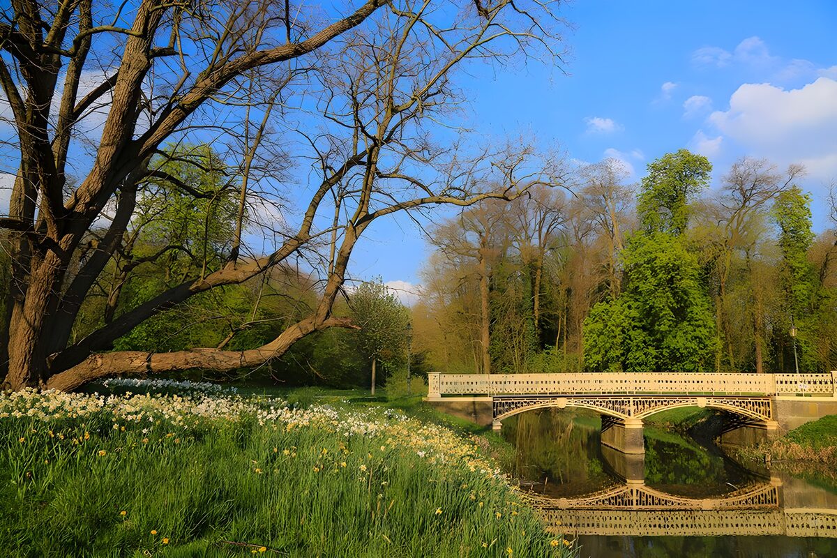 Spring sunshine by the park bridge