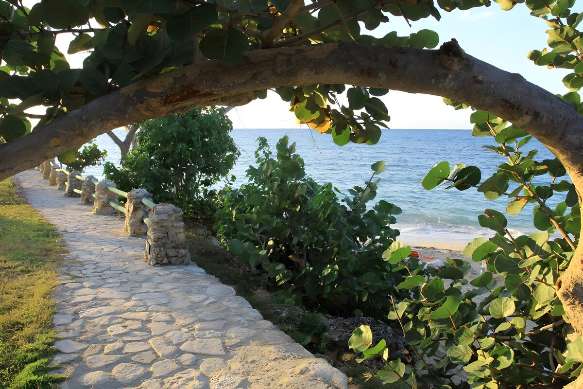 Sunlit stone path beside the sea