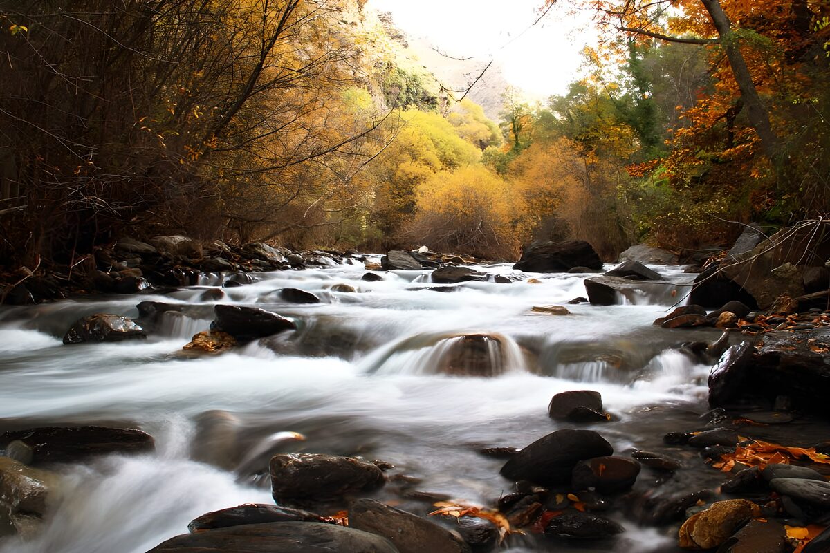 Rocky woodland stream in autumn light