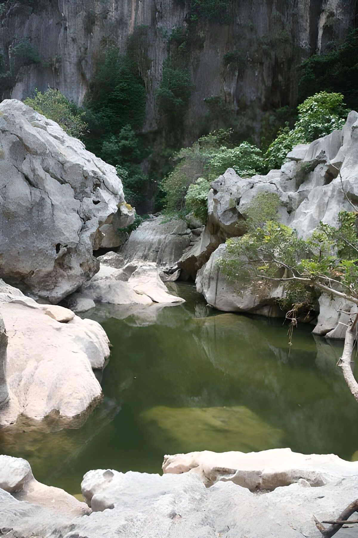 Green pool between pale gorge rocks