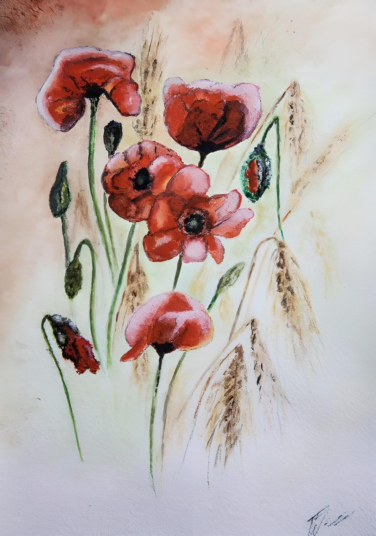 Red and pink poppies in soft watercolour