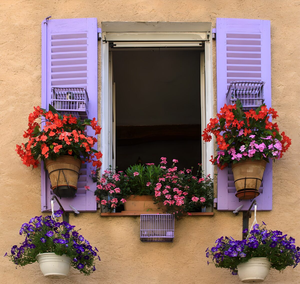 Lavender shutters and a riot of flowers