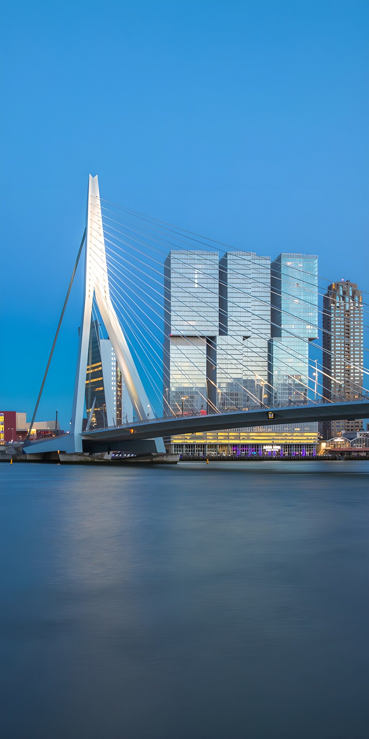 Erasmus Bridge and De Rotterdam at dusk