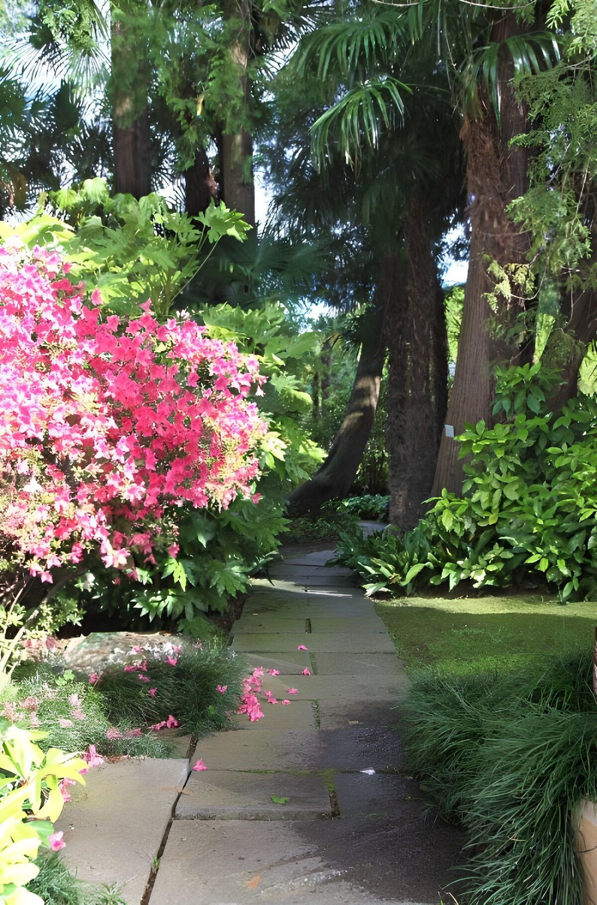 Stone path past pink flowers into shade