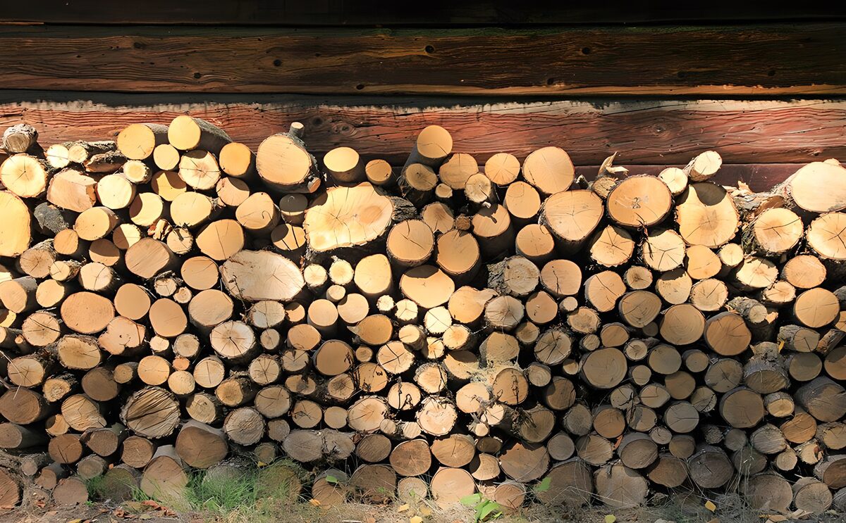 Stacked firewood in sun and shade