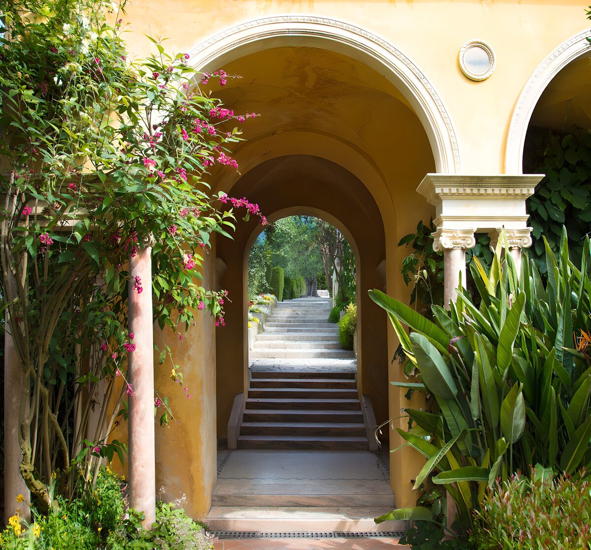 Sunlit garden arches and shaded steps