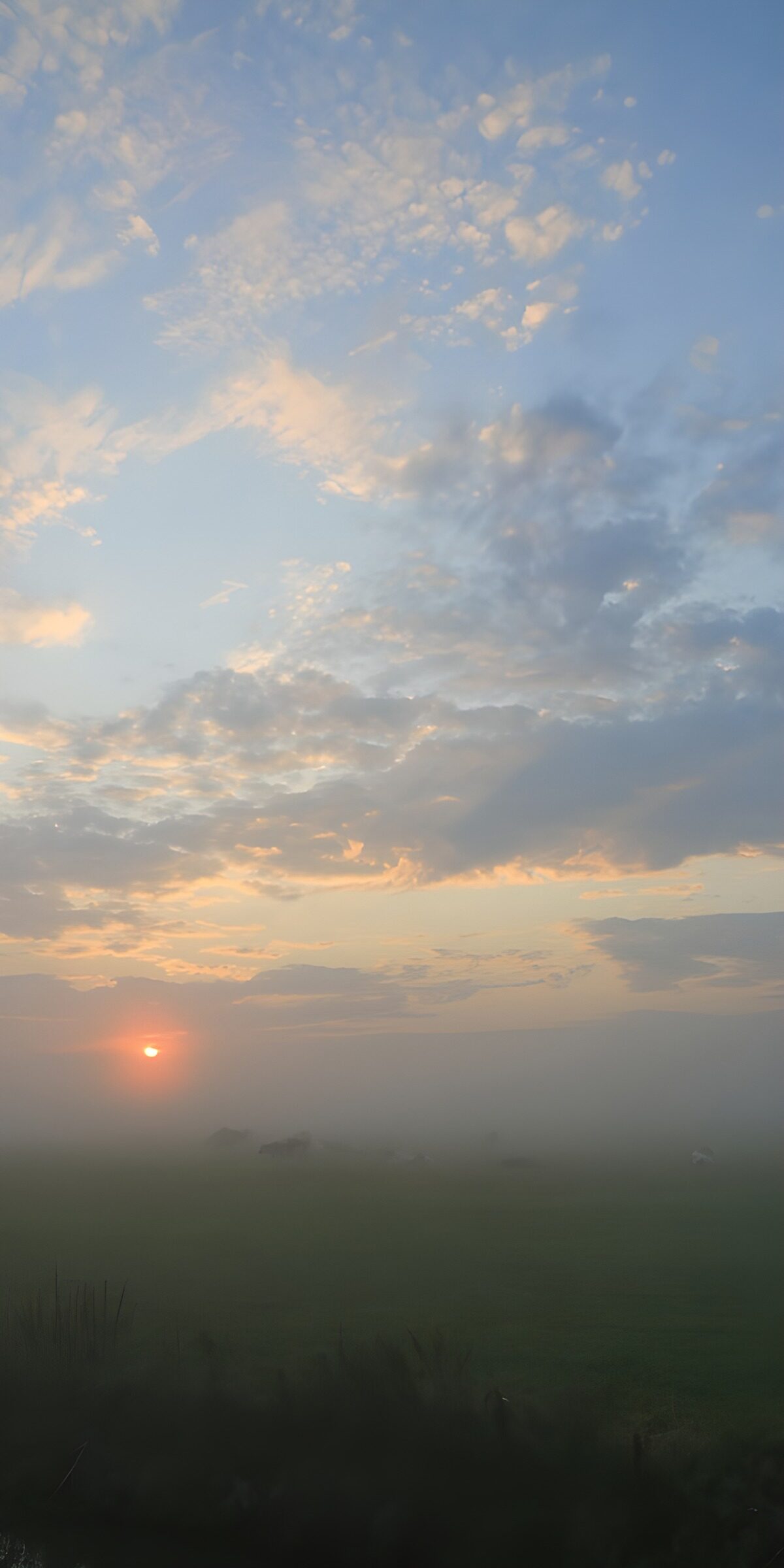 Sunrise over a misty meadow
