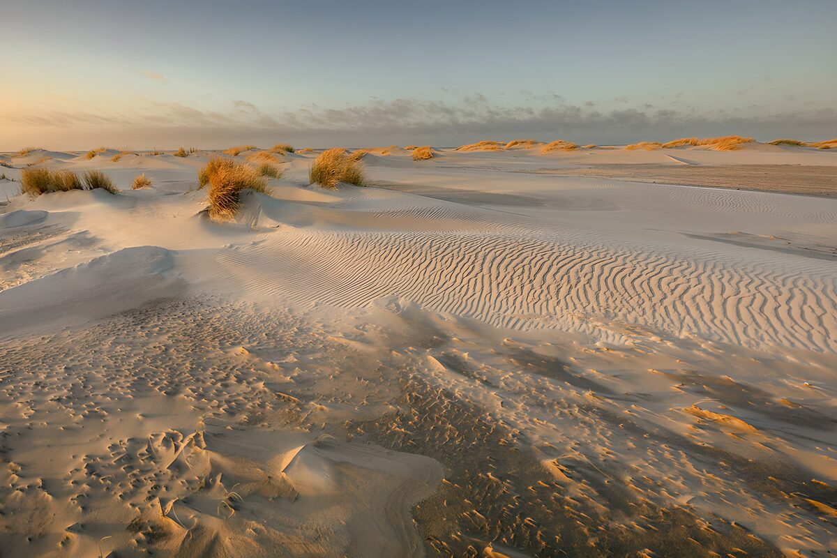 Sand dunes in warm evening light