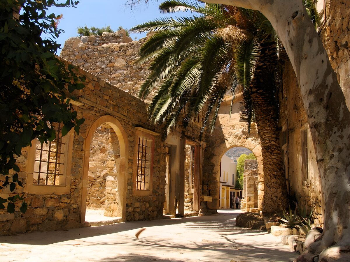 Sunlit stone courtyard with a palm