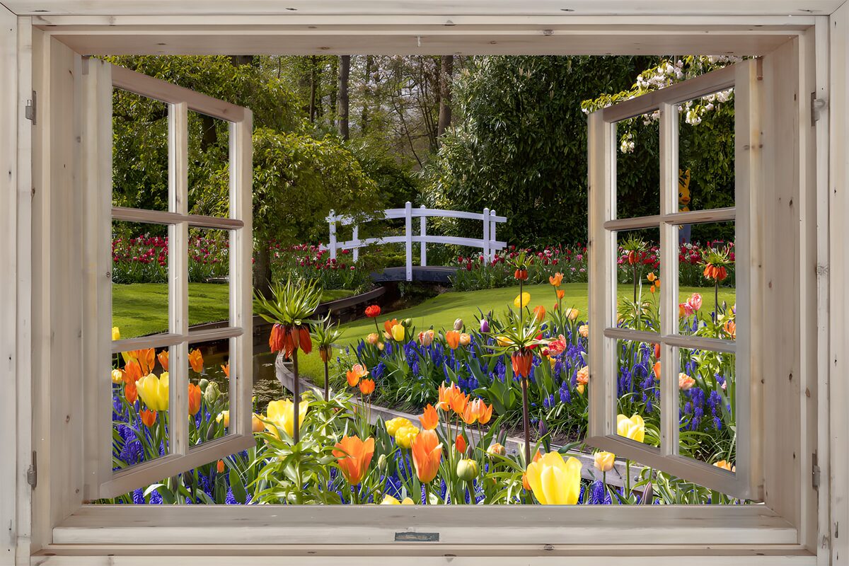 Spring tulips through an open window