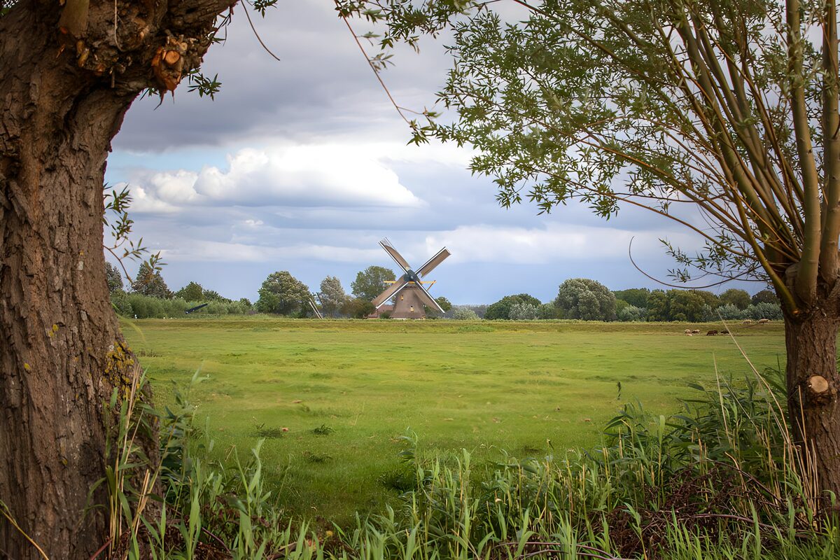 Windmill beyond a quiet green meadow