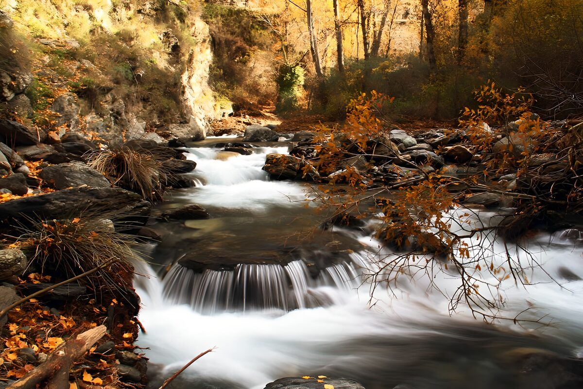 Autumn cascades in a rocky woodland