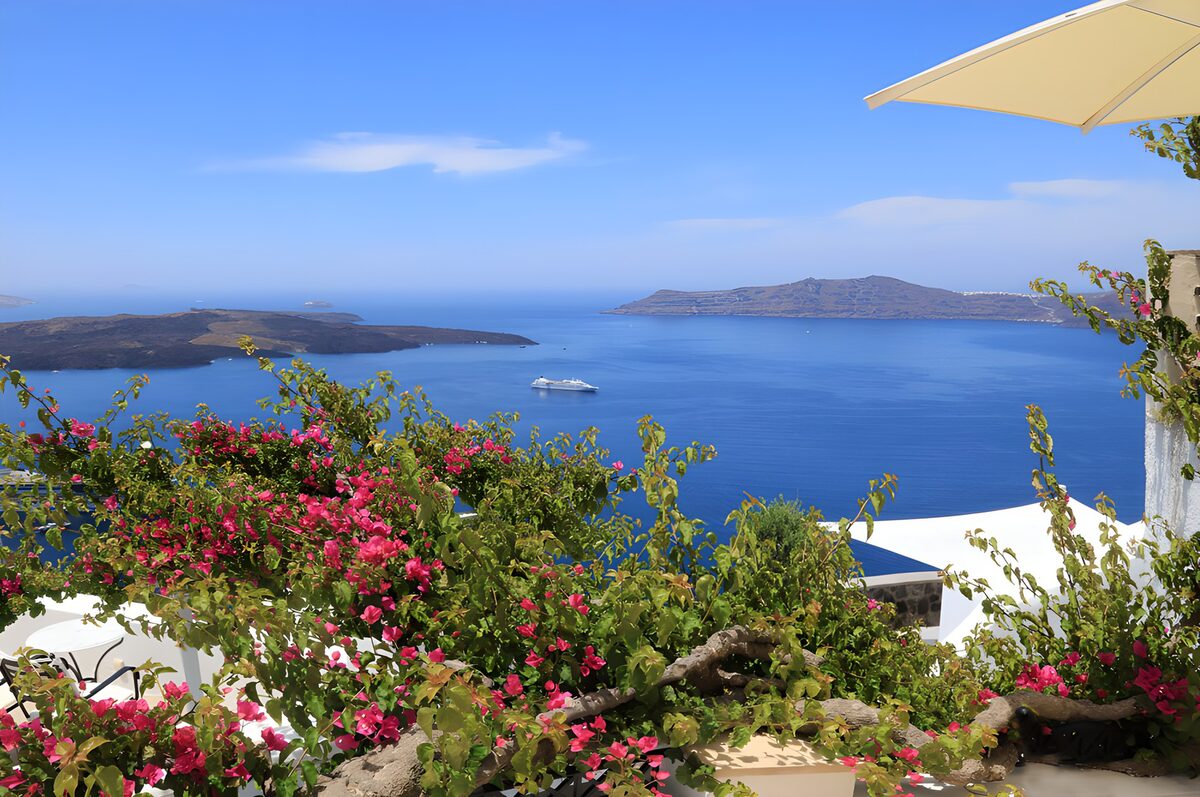 Sunlit bougainvillea above a blue bay