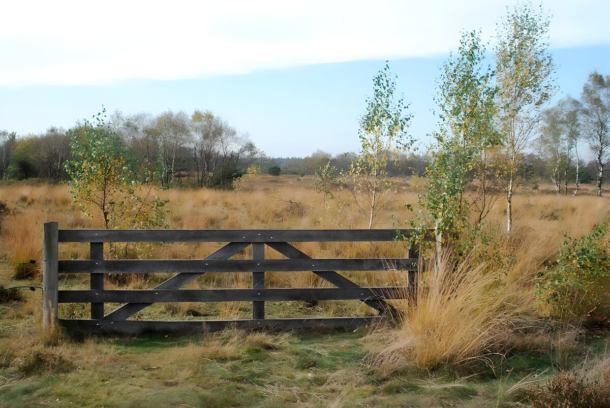 Wooden gate among autumn grasses