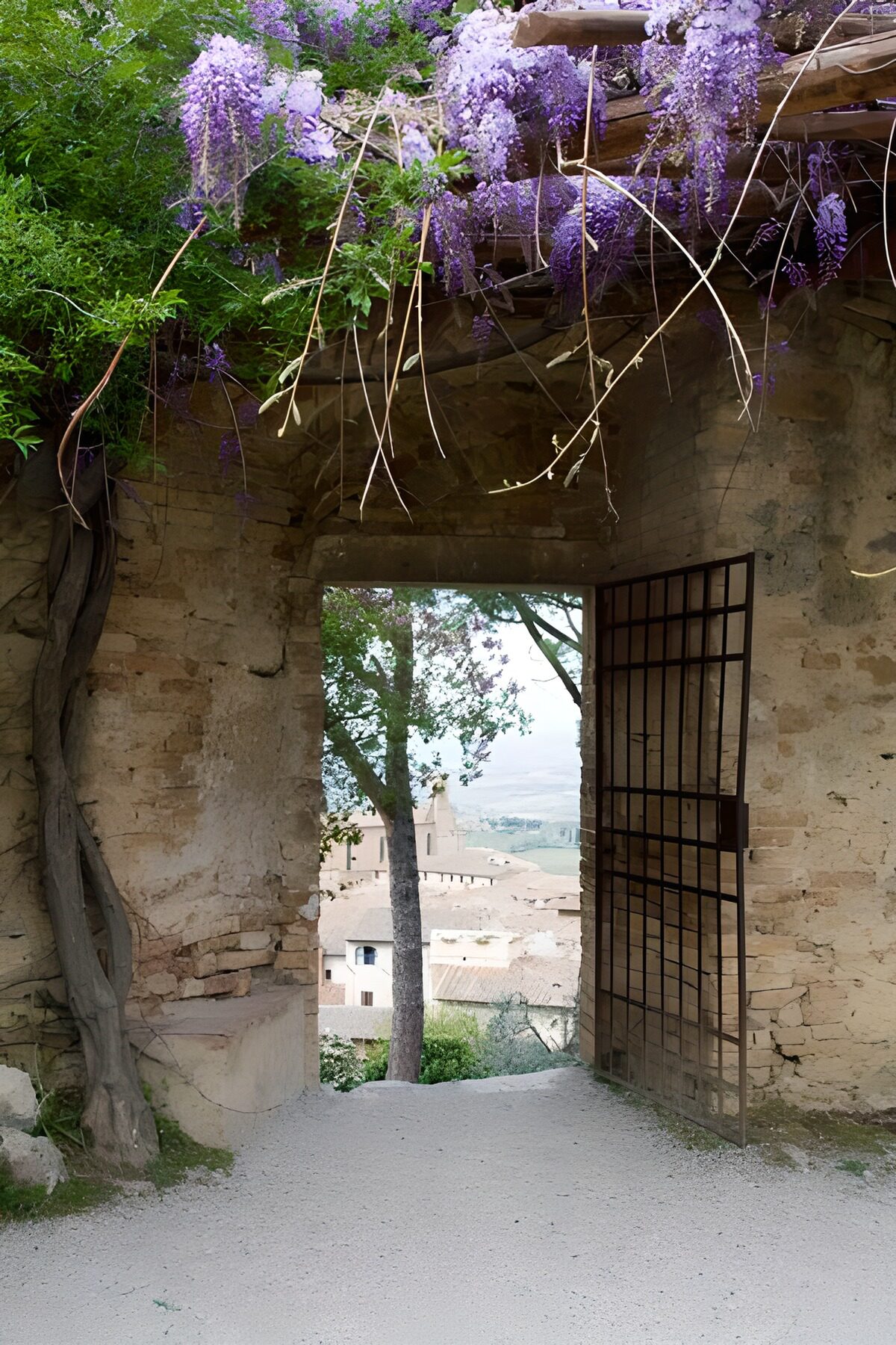 Wisteria over a rustic stone gateway
