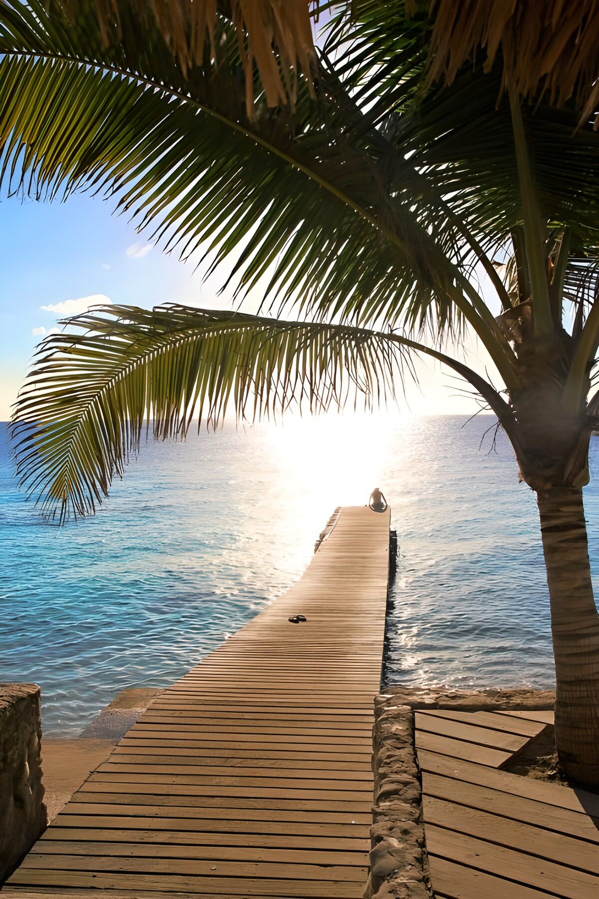 Palm-framed jetty in golden light