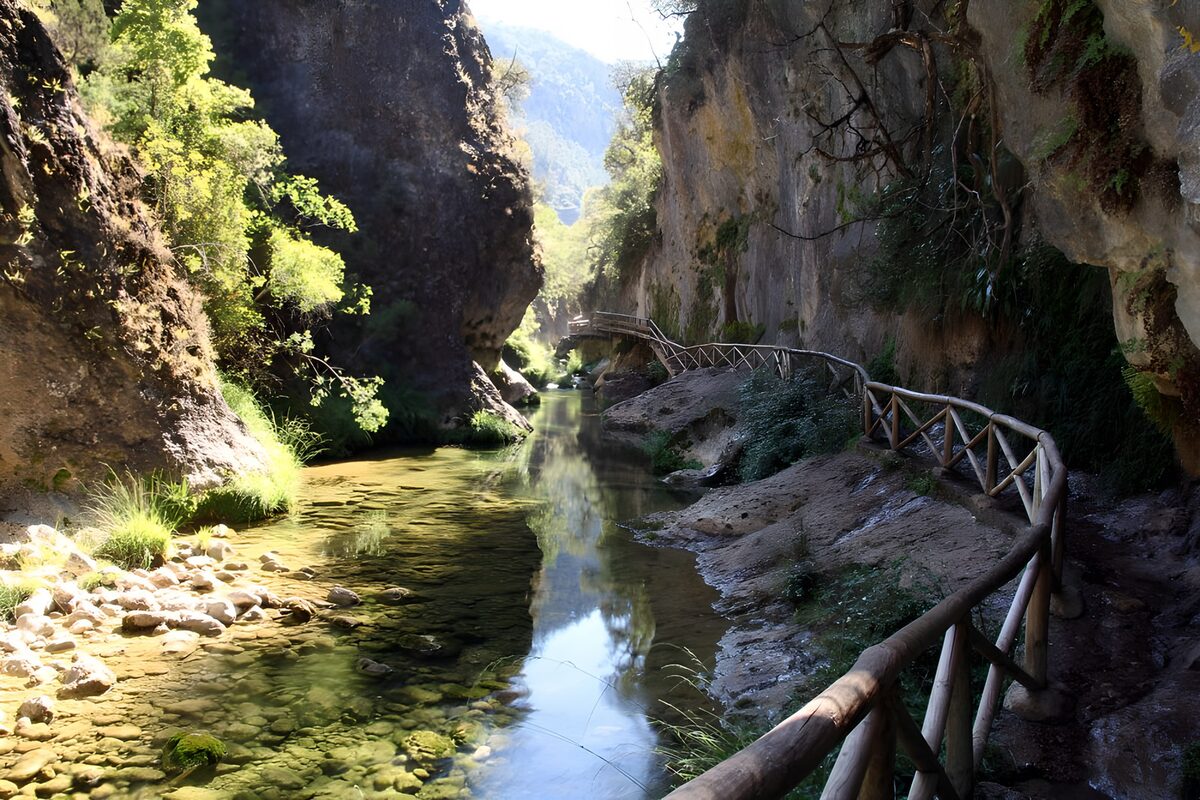 Clear stream in a rocky gorge